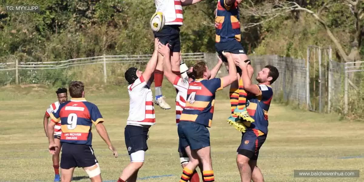 从训练场到直播间，你的热爱全程在线！📱